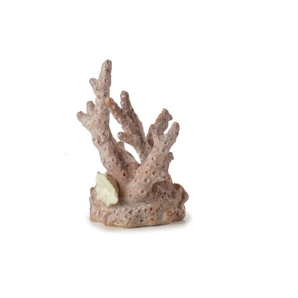 Sculptura decorativa coral mic